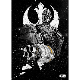 Placa de Metal Star Wars: Pilots Shuttle