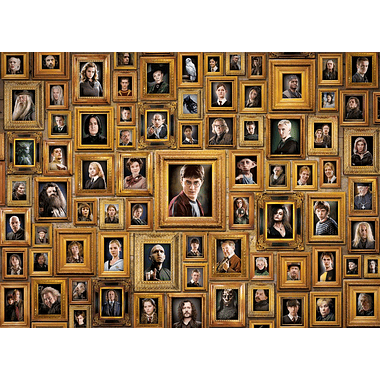 Puzzle Harry Potter: Portraits (Impossible Puzzle)