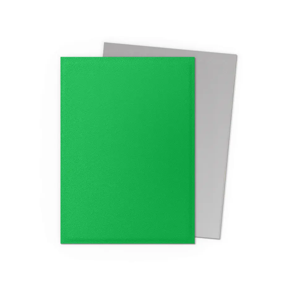 Dragon Shield - Standard Size Dual Matte Sleeves (100 Sleeves) - Applegreen & Silver 2
