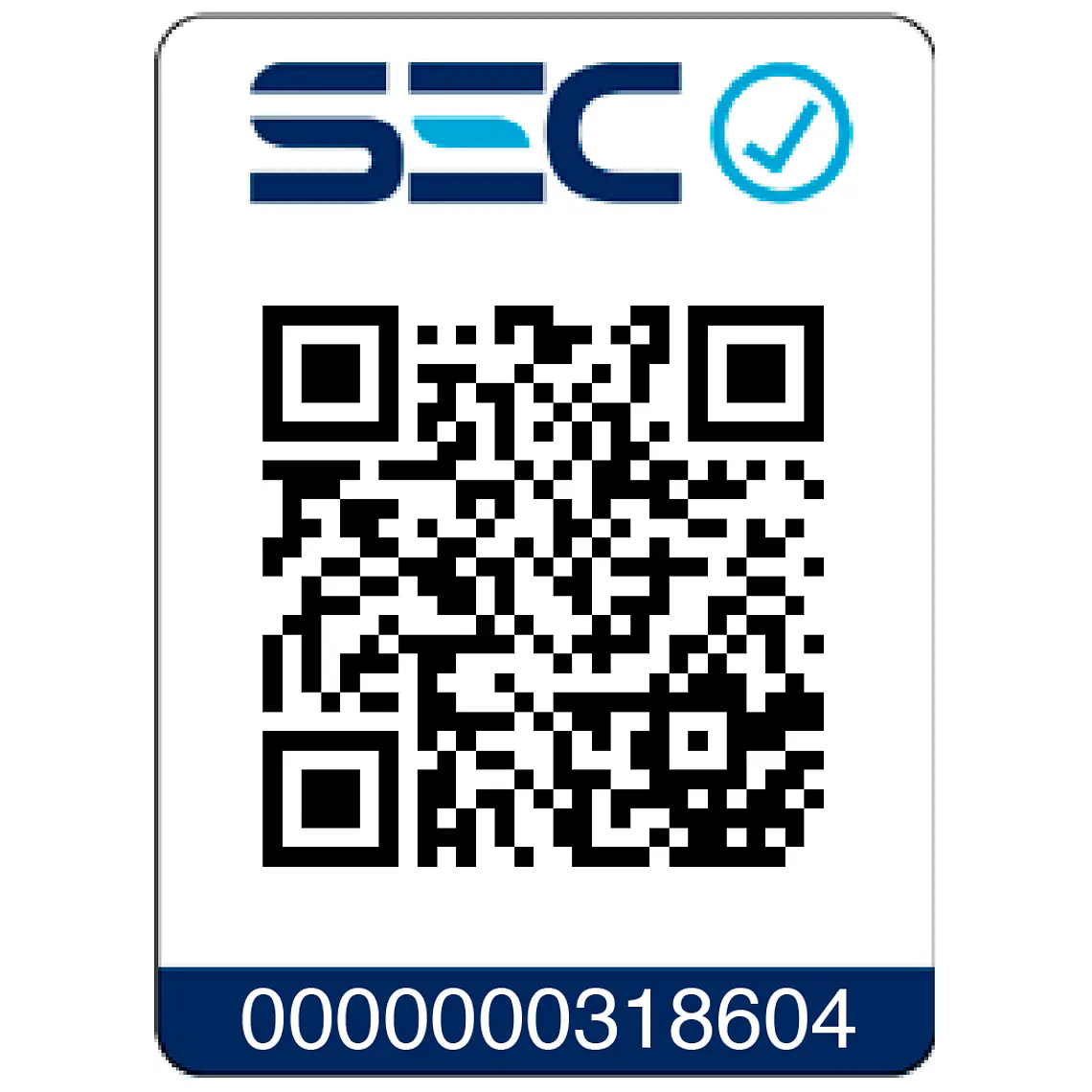 Taladro Percutor 20v Sin Carbones + 2 Bat Dewalt Dcd796d2-b2 9