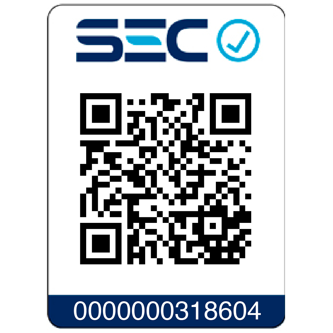 Taladro Percutor 20v S/carbones + 1 Bat 5ah Dewalt Dcd796p1 9