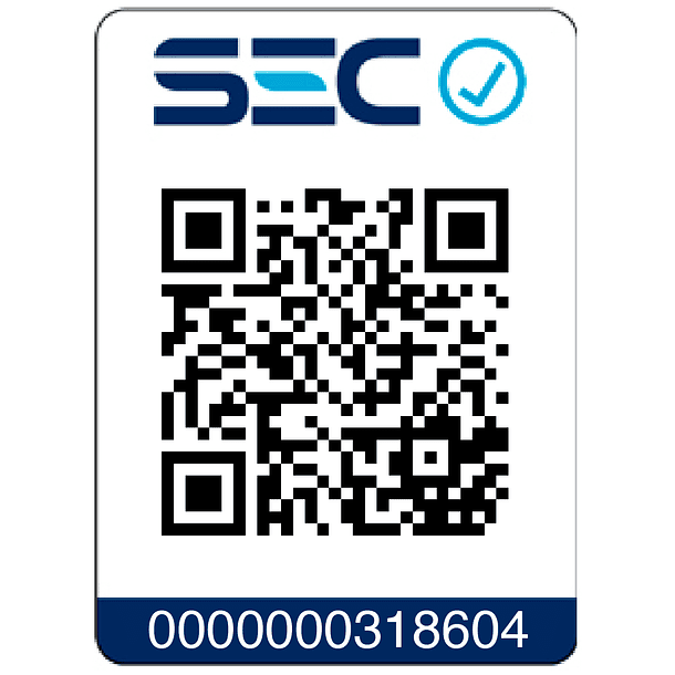 Taladro Percutor 20v S/carbones + 1 Bat 5ah Dewalt Dcd796p1 9