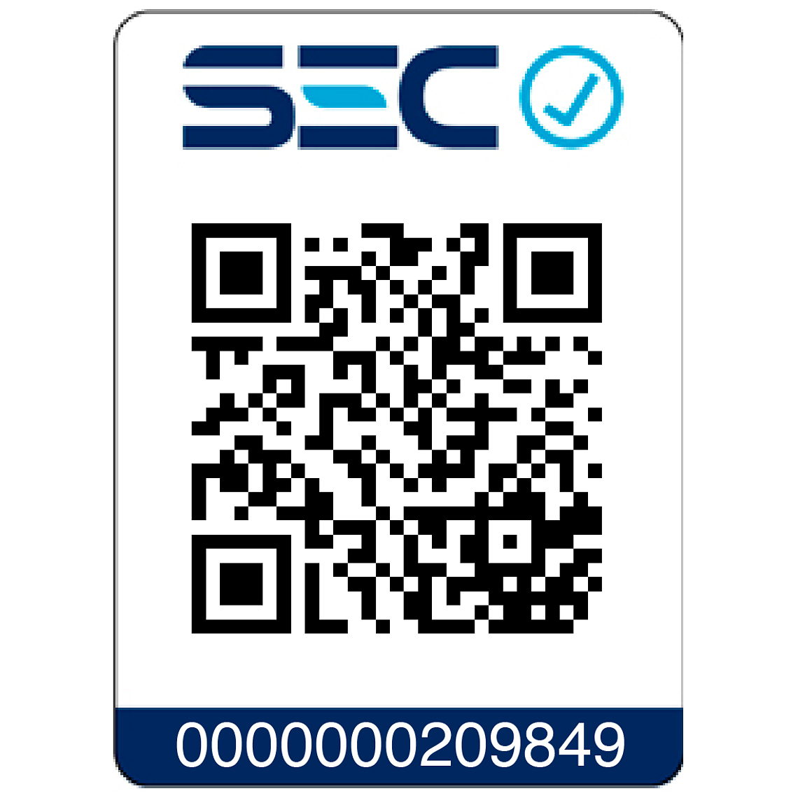 Rotomartillo 20v + 2 Baterías + Cargador Dewalt Dch133m2-b2 9