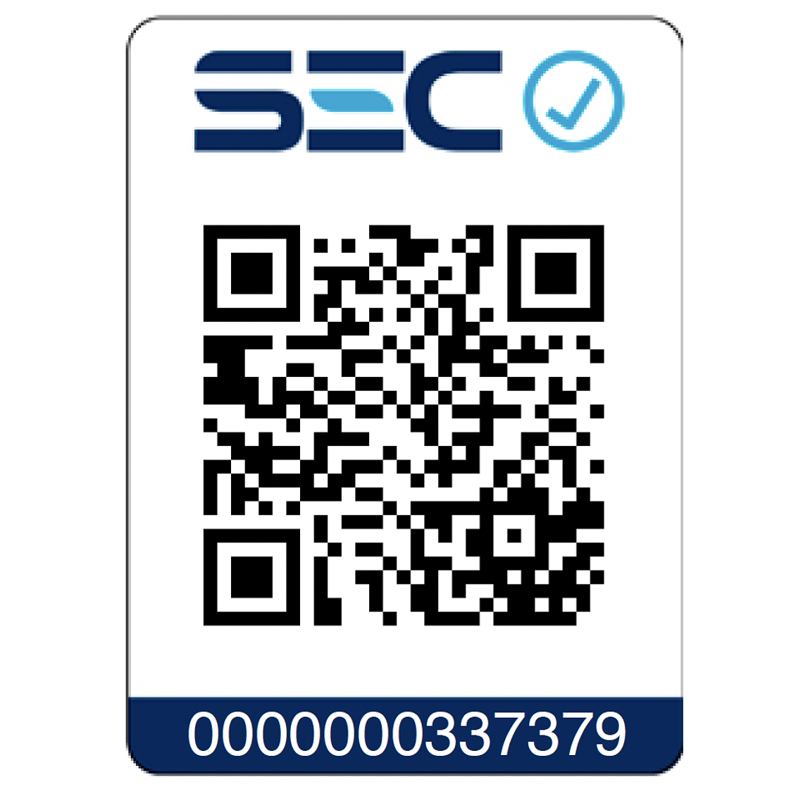 Taladro Percutor Atomic 1/2' 20v + 2 Bat Dewalt Dcd709d2-b2 9