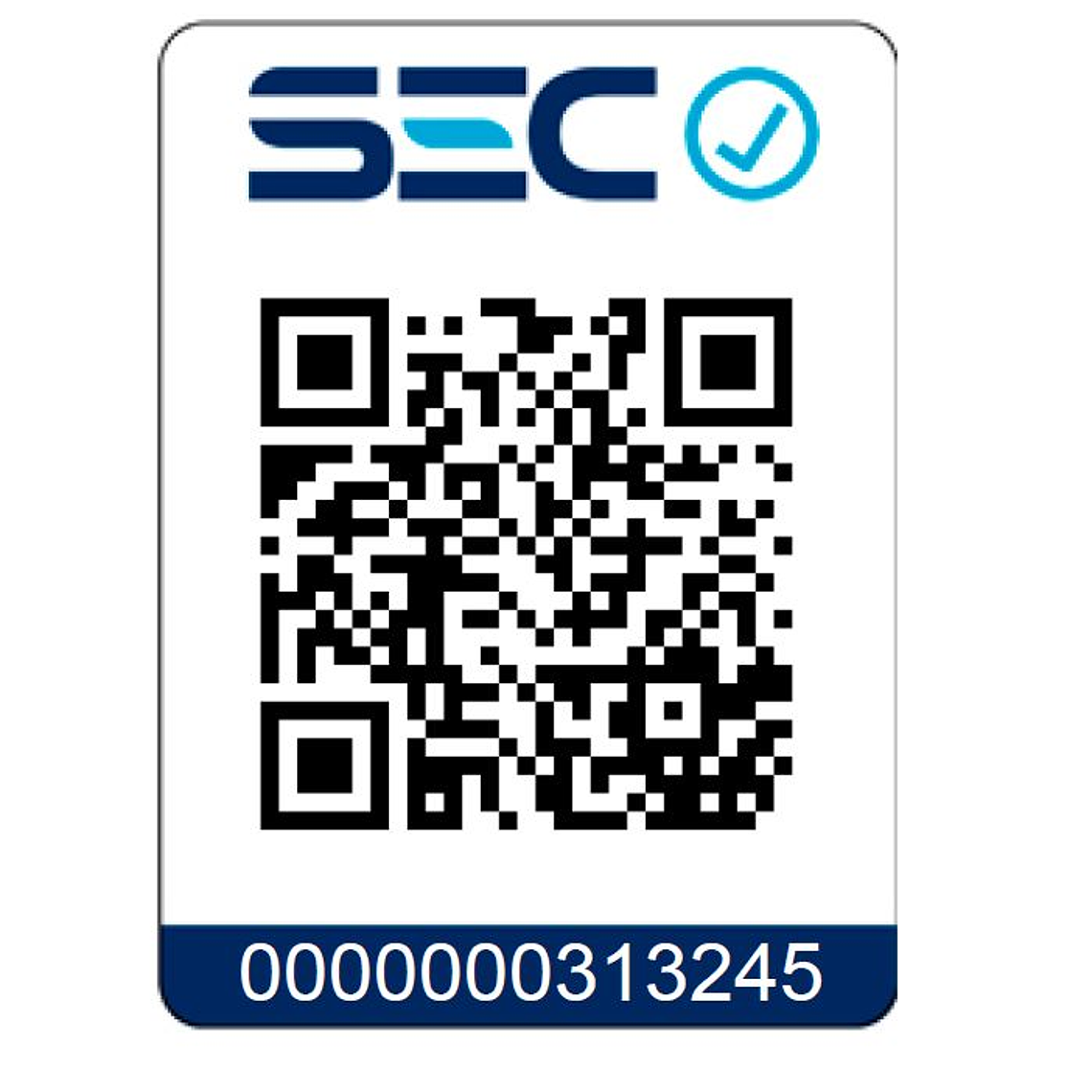 Lijadora Orbital Inalámbrica 20v Brushless Dcw210b KIT 8