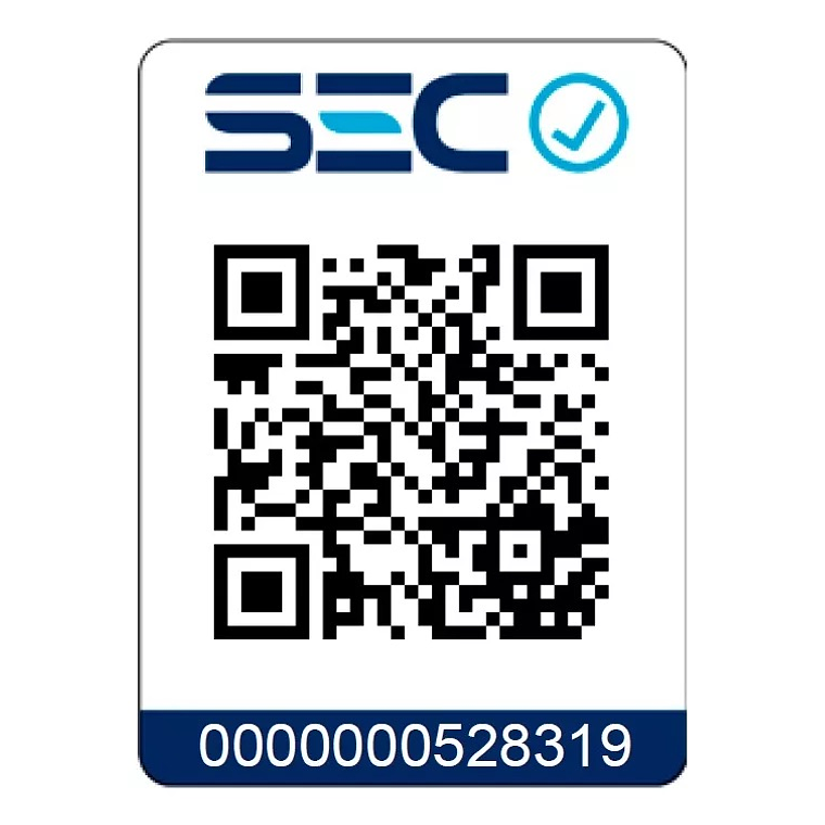 Lijadora roto orbital Lüsqtoff LRL300-8  + Lija Naranja 8