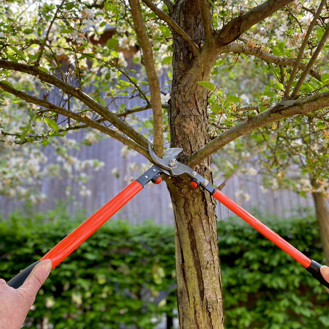 Tijeron De Poda Profesional De 60Cm Bahco P16-60-F 6