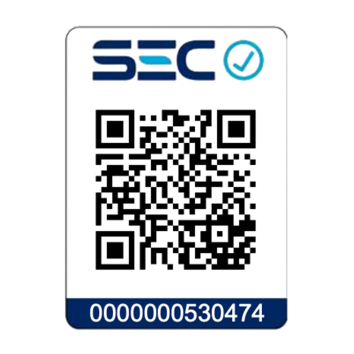 Sierra Sable Inalámbrica Car/Bat 3Ah. 18v Makita DJR183SF 6