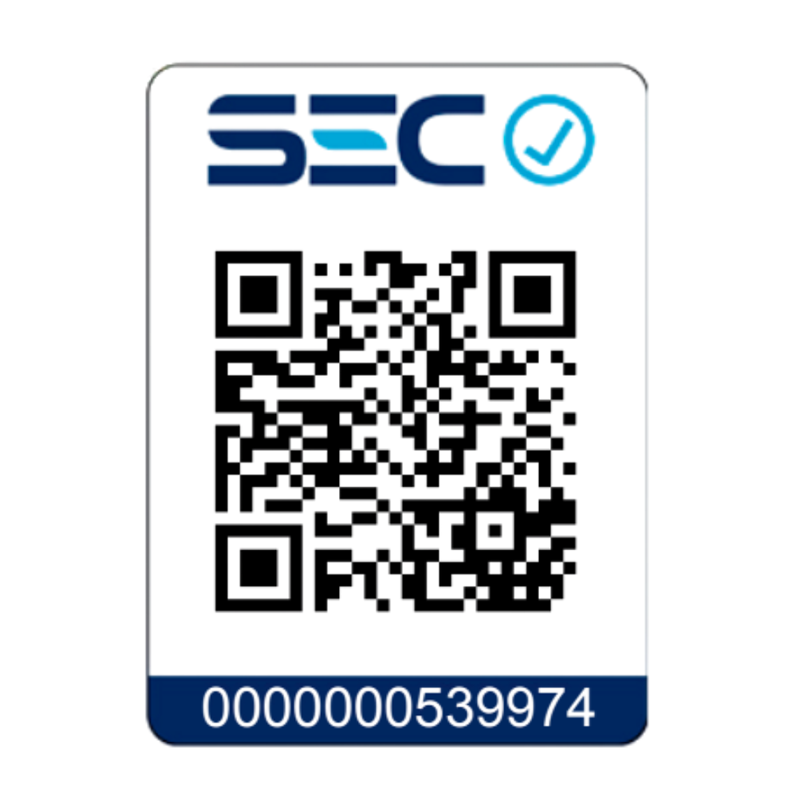 Lijadora Roto Orbital Inalámbrica Lusqtoff  Car/Bat 2ah 7