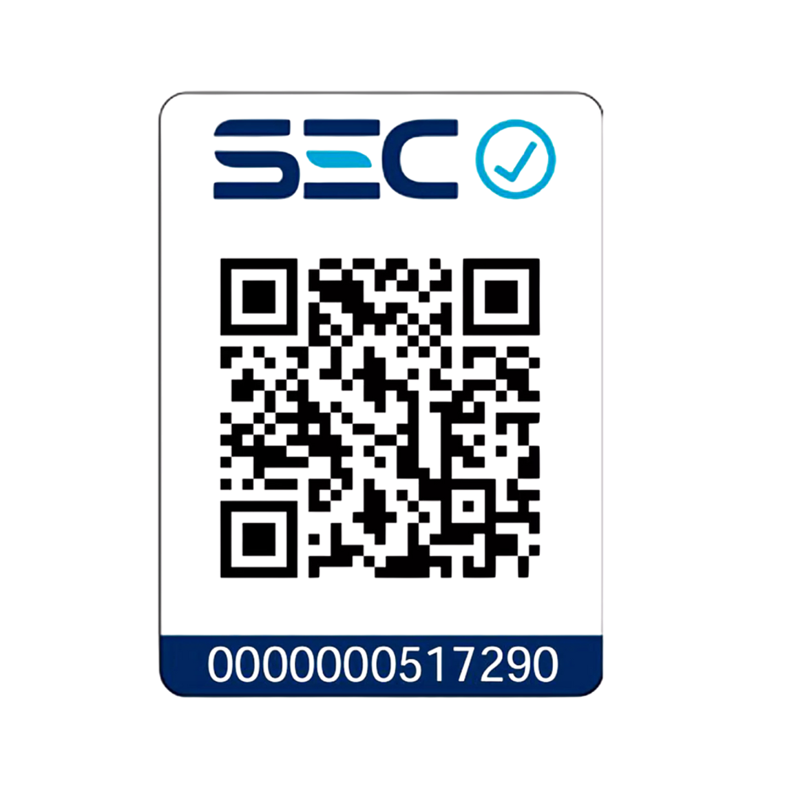 Kit Taladro Percutor 1/2