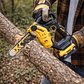 Motosierra Inalambrica De Poda 8 Car/Bat5ah Dewalt Dccs623P1 - Miniatura 5