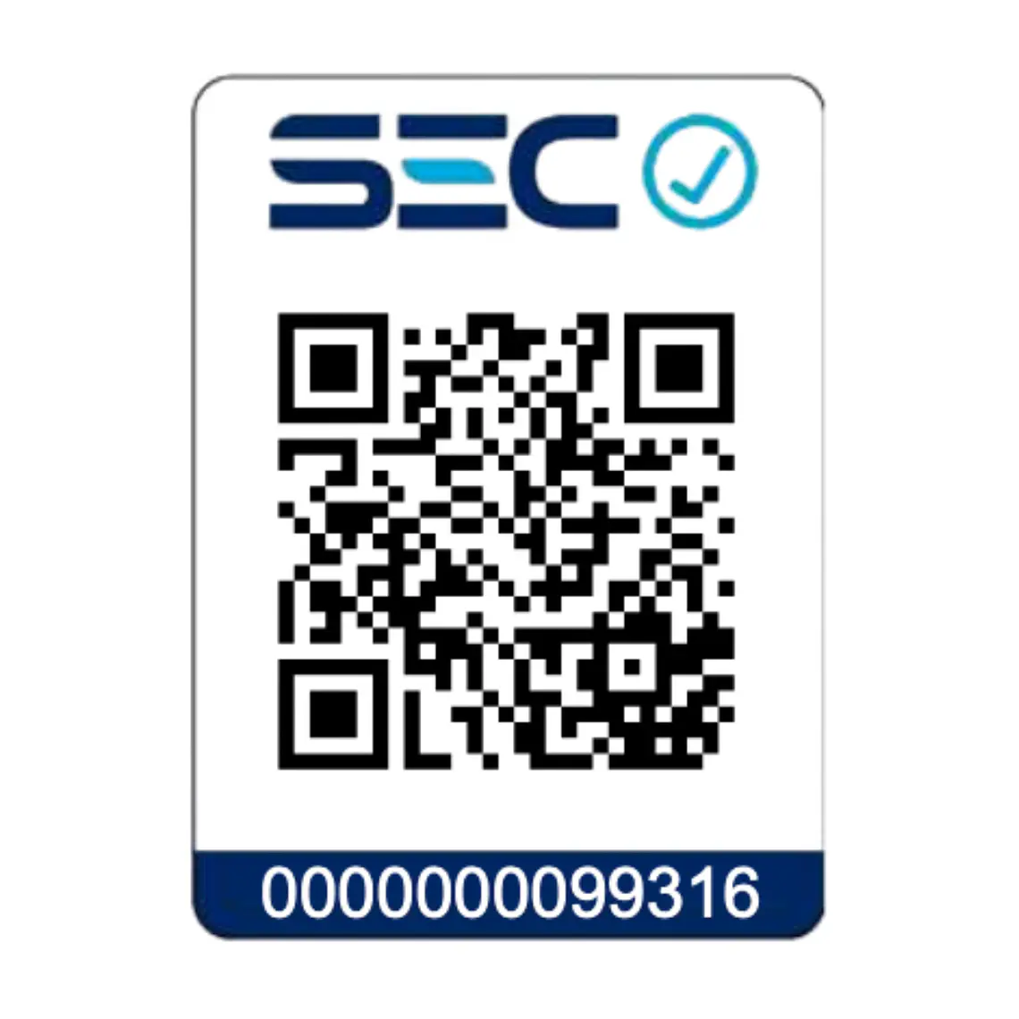 Rotomartillo Inalámbrico 20mm18V 2Bat3ah/Car MakitaDHR202RFE 8