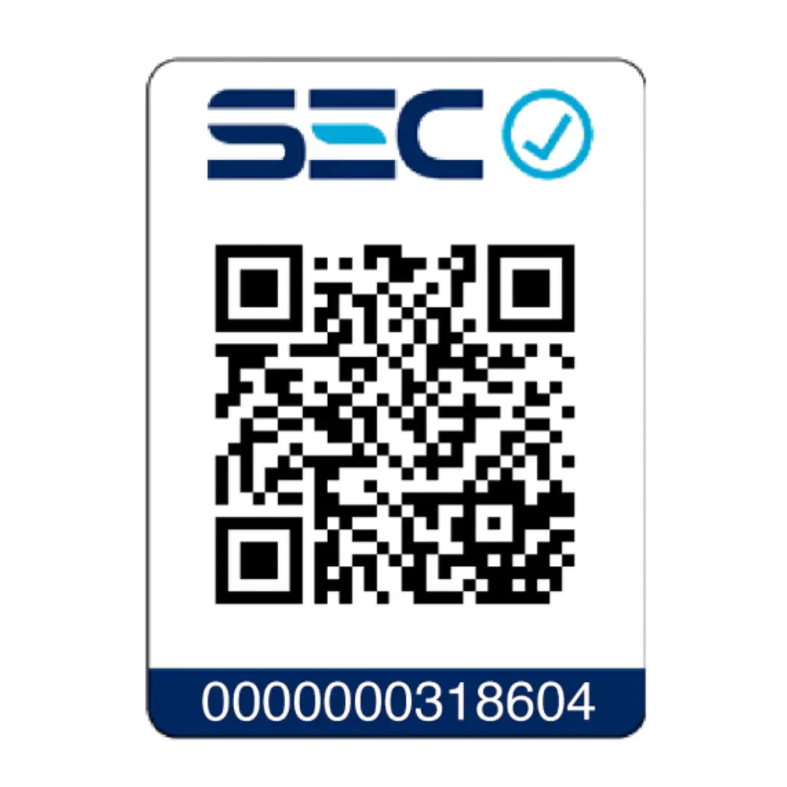 Kit Taladro Percutor 20V+ Bat/5Ah DCD796P1+Set100 Pza GRATIS 8