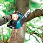 Motosierra Inalámbrica Makita 40V XGT S/bat UC031GZ - Miniatura 3