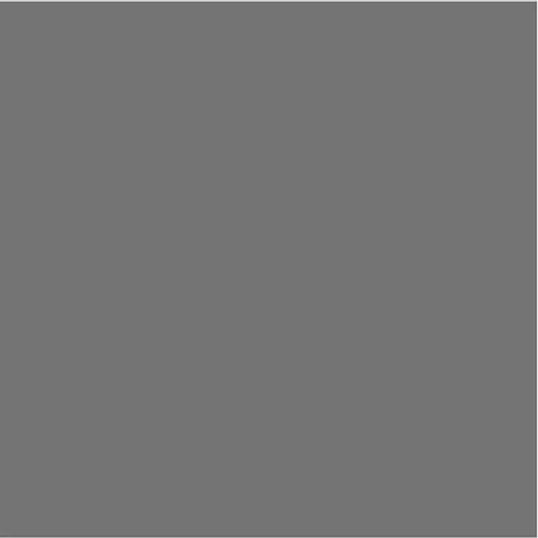 Aerosol Galvanizado en Frío Rust-Oleum Gris 454 g 3