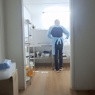 Taller Introductivo de Micología al Reino Fungi (Online/ En Directo) + Kit de cultivo / Material de Laboratorio