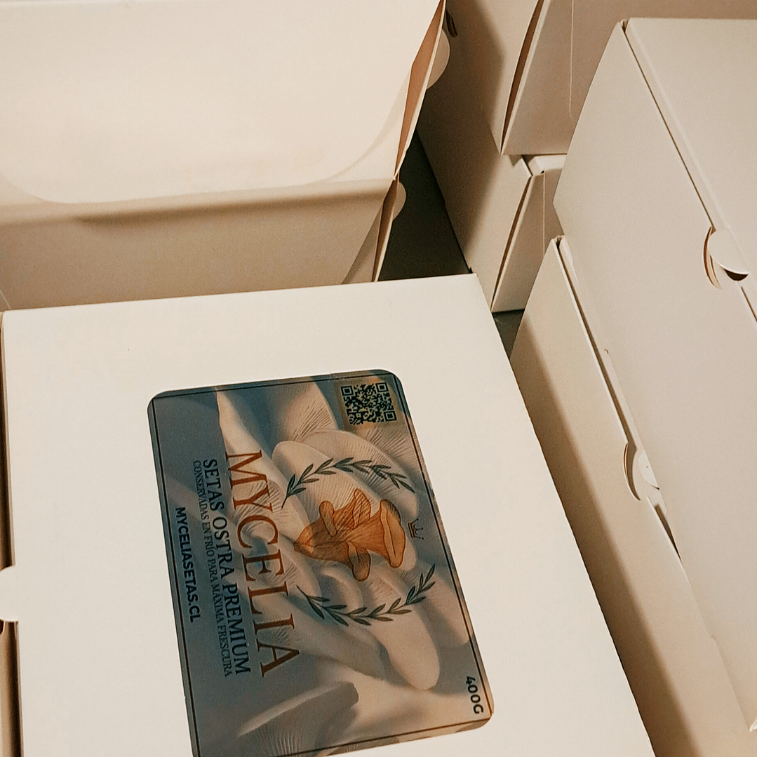 Packing 400 grm Seta Ostra Florida 1