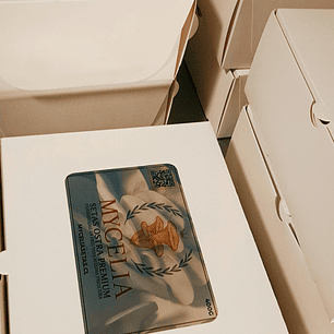 Packing 400 grm Seta Ostra Florida