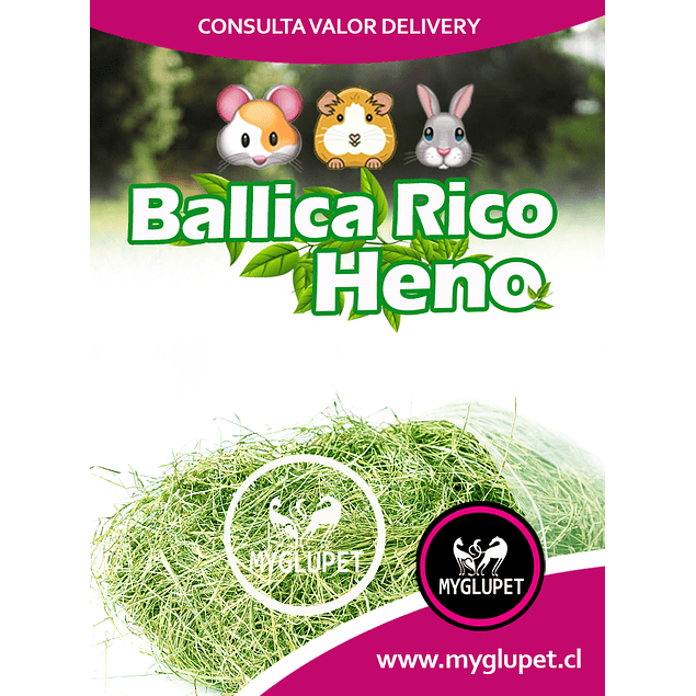 Heno Ballica 700 gramos