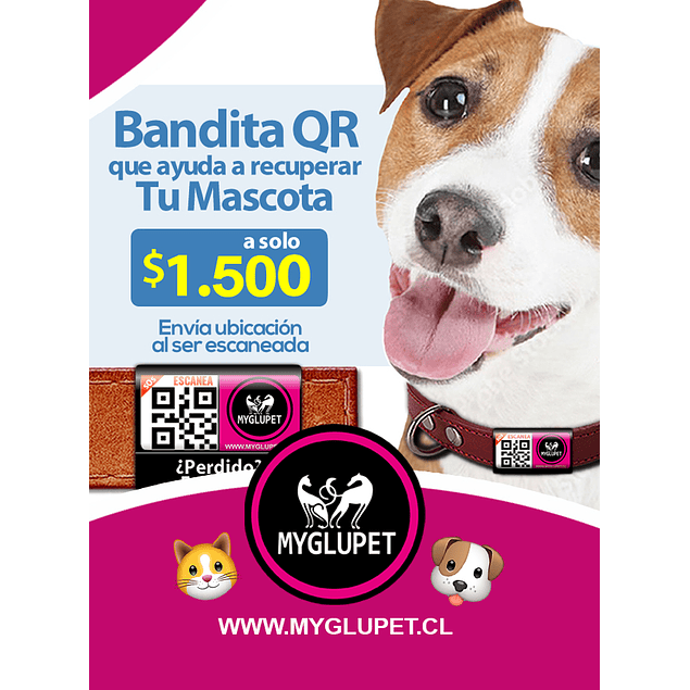 Bandita QR Adhesiva para búsqueda de Perritos y Gatitos perdidos