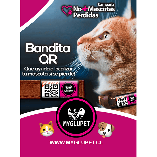 Bandita QR Adhesiva para búsqueda de Perritos y Gatitos perdidos