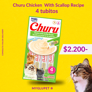 Churu chicken whit escallop Recipe ( pollo )