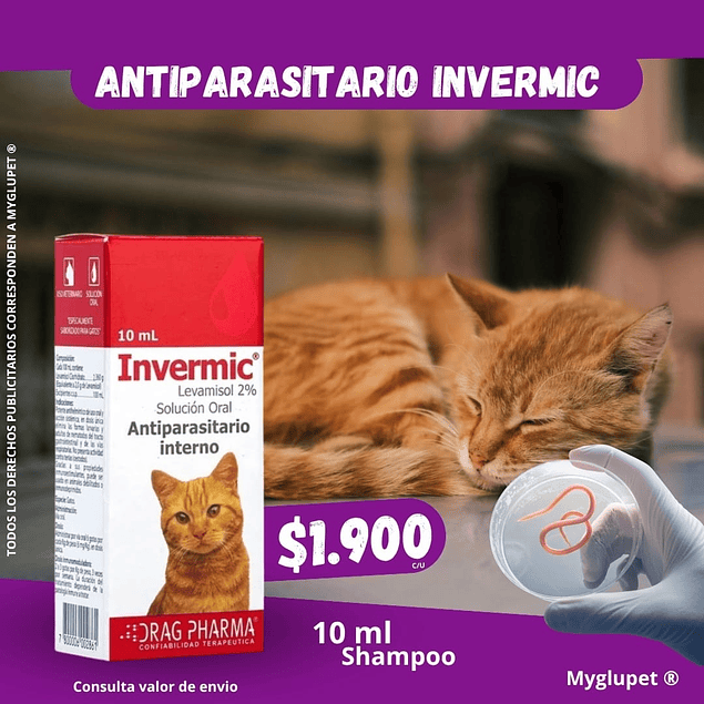 Antiparasitario Interno Solución Oral levamisol 2%para gatos