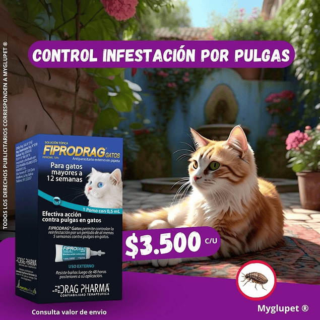 Fiprodrag pipeta para gatos contra pulgas