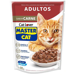 Sachet Master Cat carne 85g