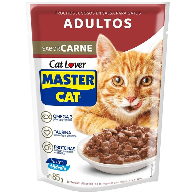 Sachet Master Cat carne 85g