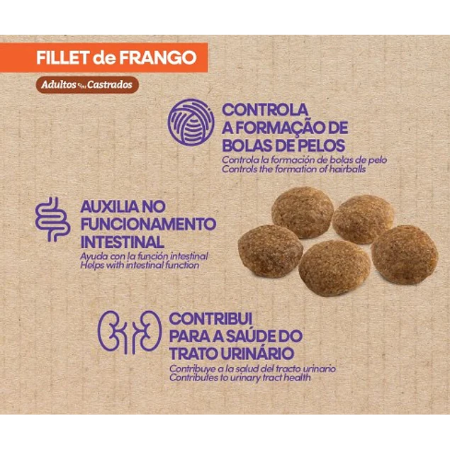 Leroy Fillet de Frango (Pollo)