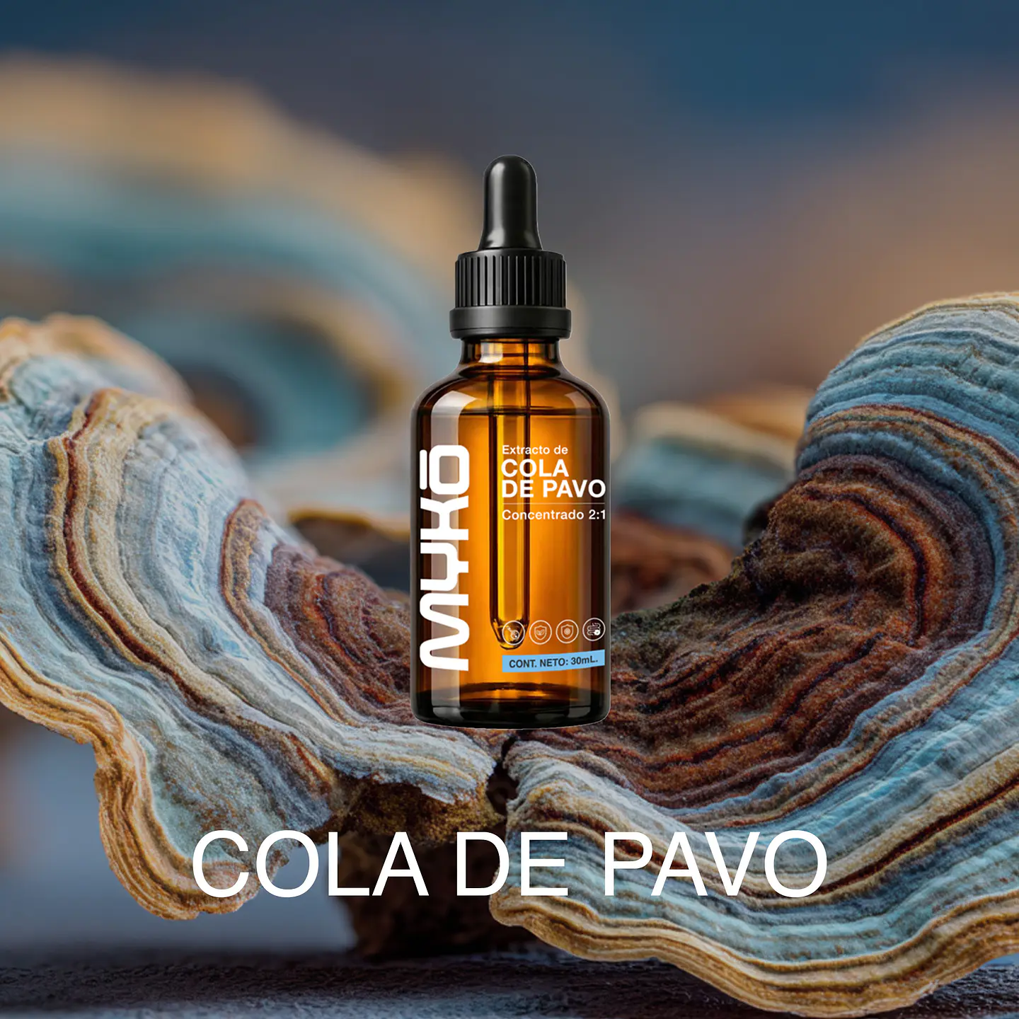 EXTRACTO COLA DE PAVO 2