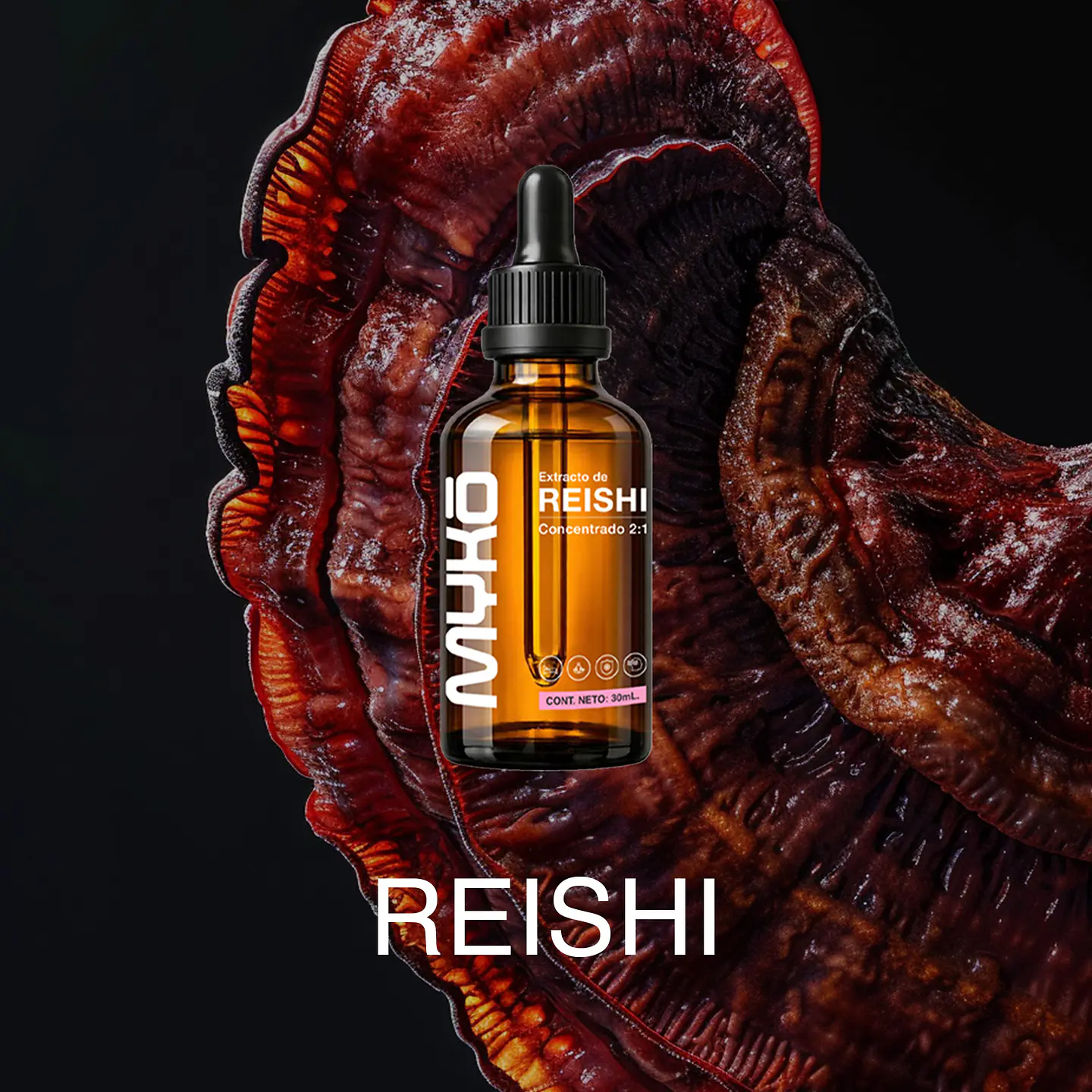 EXTRACTO REISHI 2