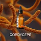 EXTRACTO CORDYCEPS - Miniatura 2