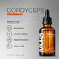 EXTRACTO CORDYCEPS - Miniatura 1