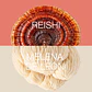 CALM: Melena de León + Reishi - Miniatura 3