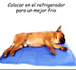MANTA REFRESCANTE PARA PERROS Y GATOS TALLA MD 50 X 65 CM - Miniatura 1
