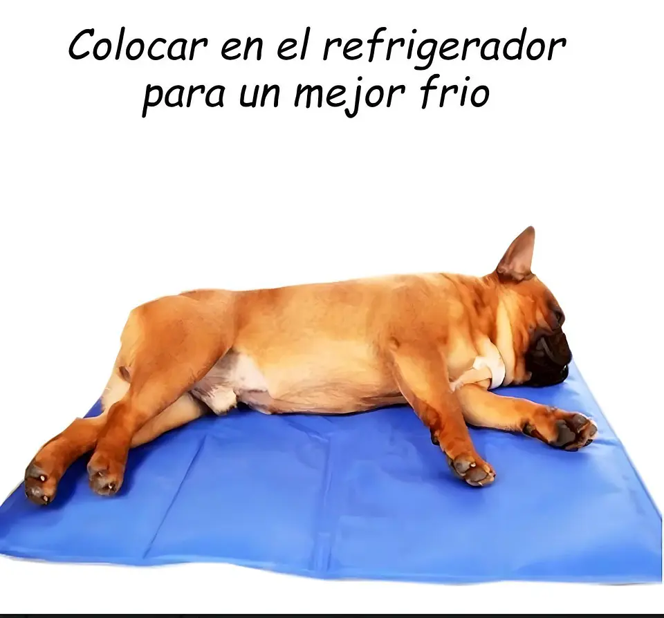 MANTA REFRESCANTE PARA PERROS Y GATOS TALLA MD 50 X 65 CM 1