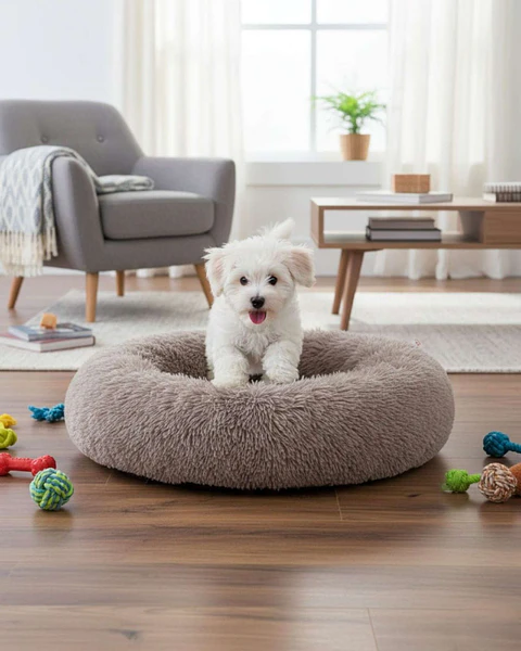 Cama Acolchada de Alta Densidad para tus mascotas 60 cm