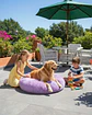 Cama Acolchada de Alta Densidad para tus mascotas 60 cm - Miniatura 6