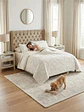 Quilt De Verano Tufting Liviano Diseño Geométrico King / Super king - Miniatura 7