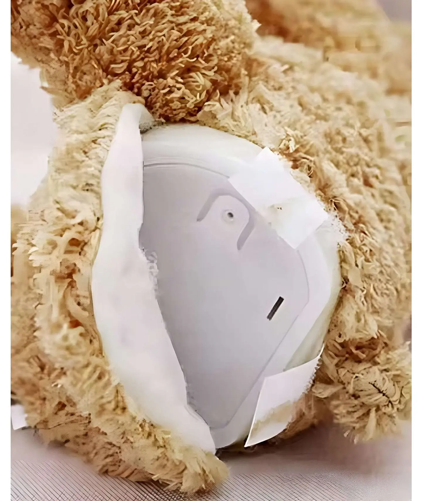 OSO PELUCHE MUSICAL INTERACTIVO ESCONDITE INFANTIL 4