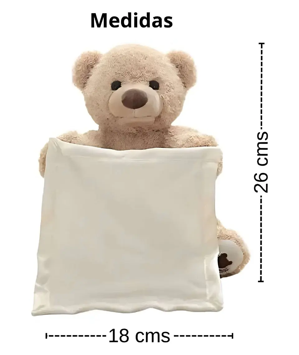 OSO PELUCHE MUSICAL INTERACTIVO ESCONDITE INFANTIL 5