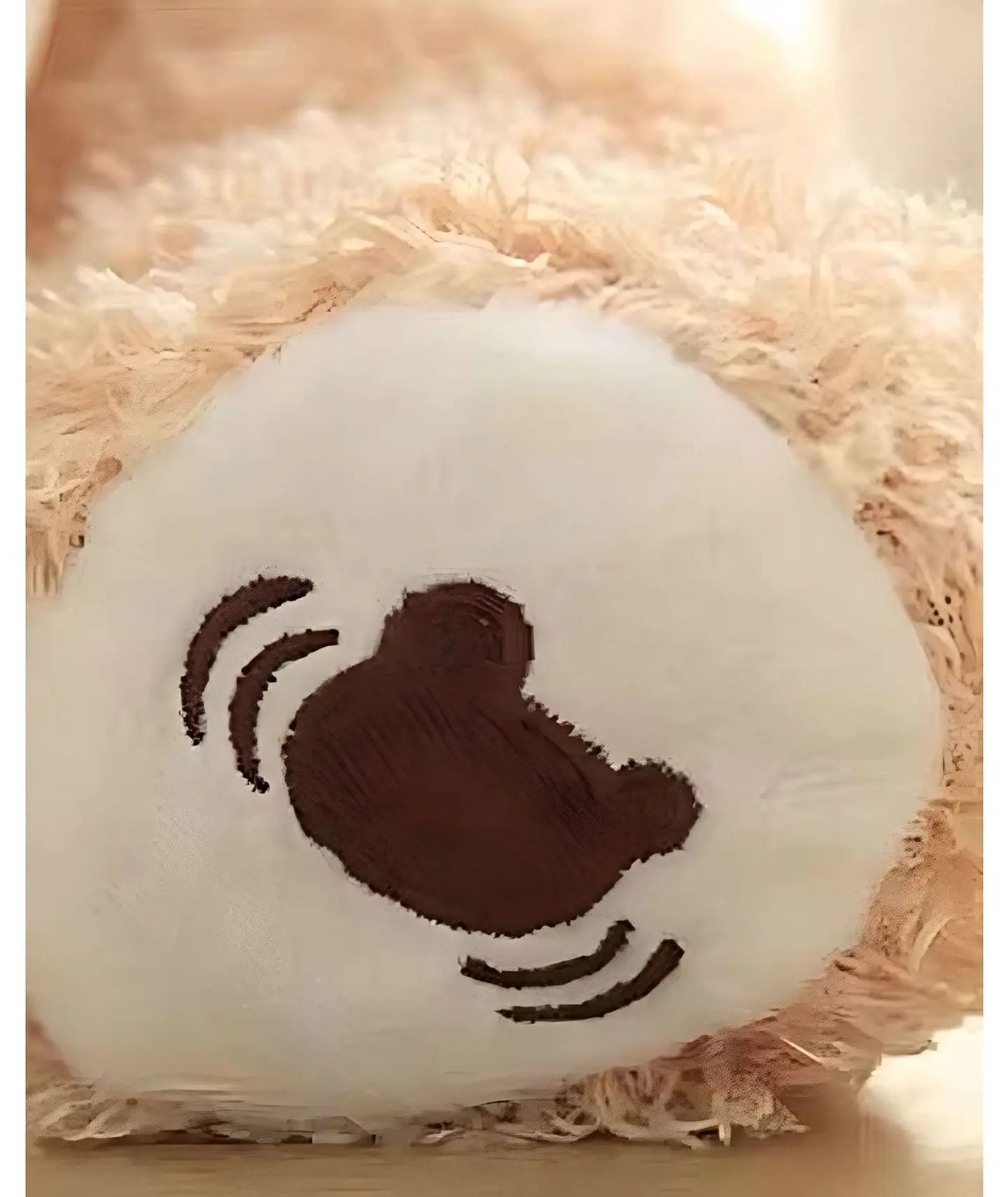 OSO PELUCHE MUSICAL INTERACTIVO ESCONDITE INFANTIL 7