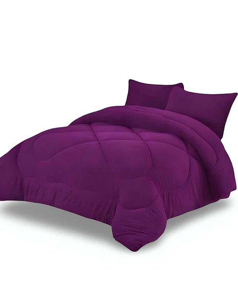 Cobertor de invierno con Plush con Chiporro 2 Plazas