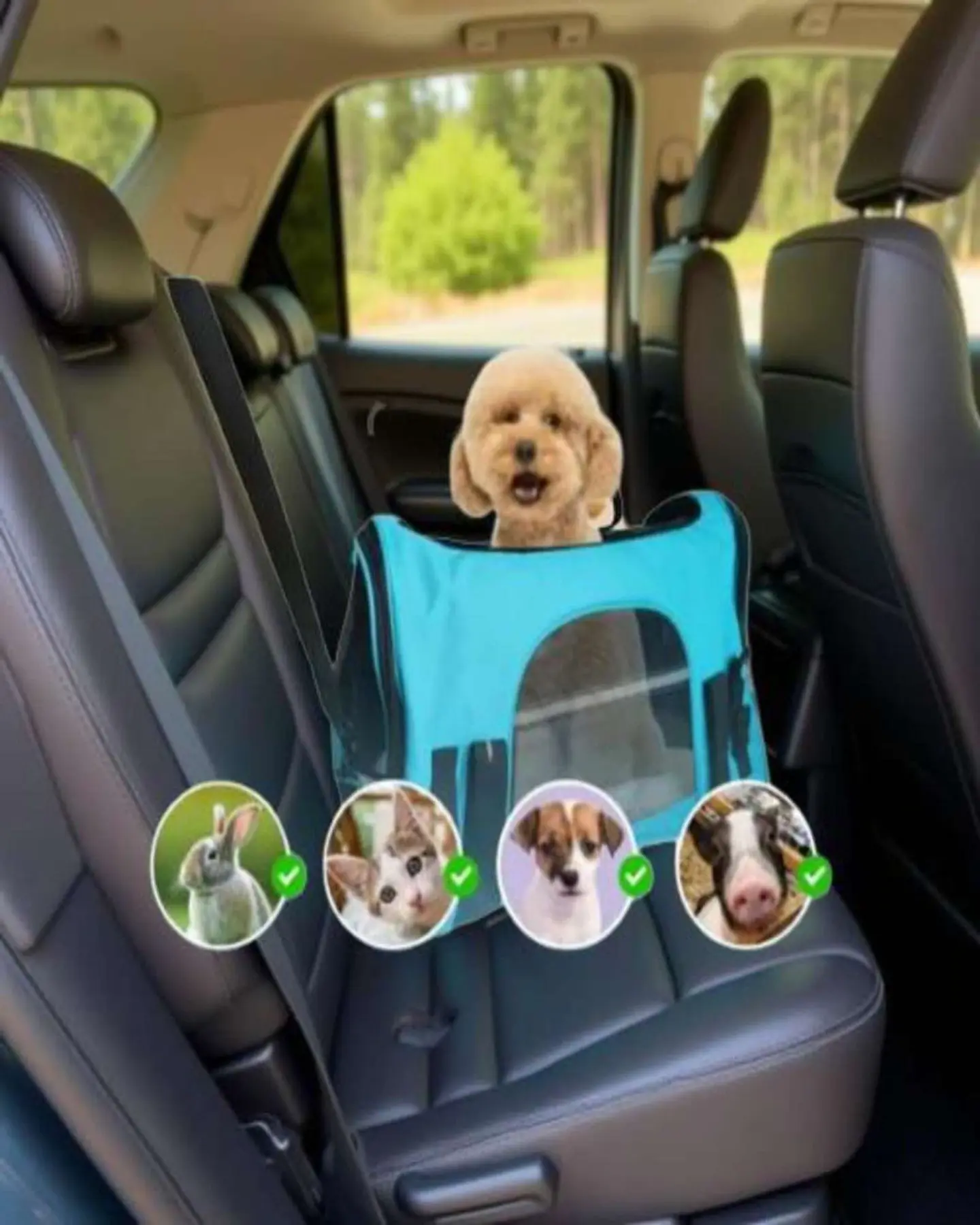 Bolso Transportador Respirable de Mascota Para Perro y Gato Azul 3