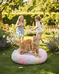 Cama Acolchada de Alta Densidad para tus mascotas 50 cm - Miniatura 1