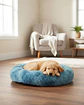 Cama Acolchada de Alta Densidad para tus mascotas 60 cm - Miniatura 5