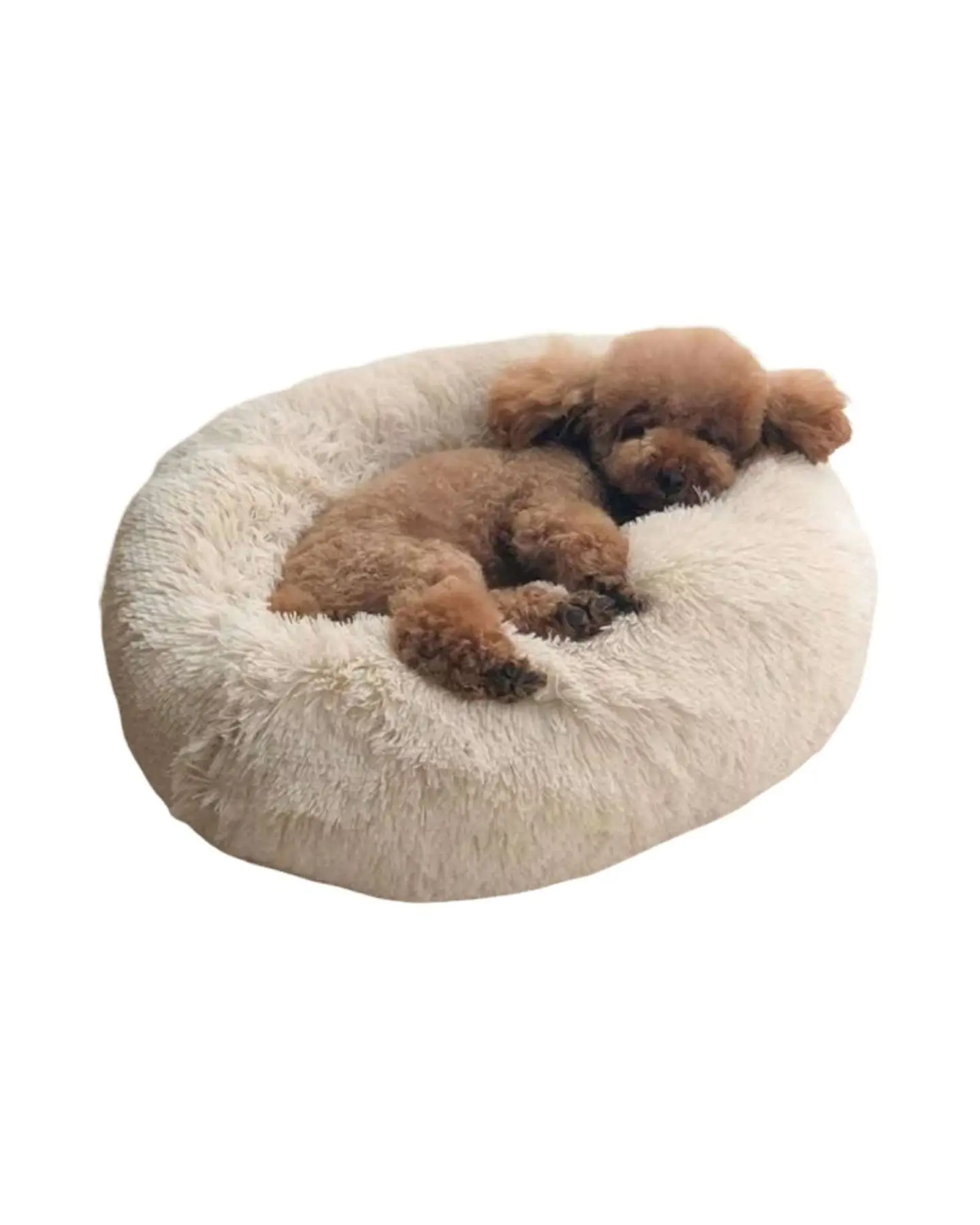 Cama Acolchada de Alta Densidad para tus mascotas 70 cm 3