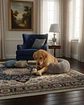 Cama Acolchada de Alta Densidad para tus mascotas 70 cm - Miniatura 6